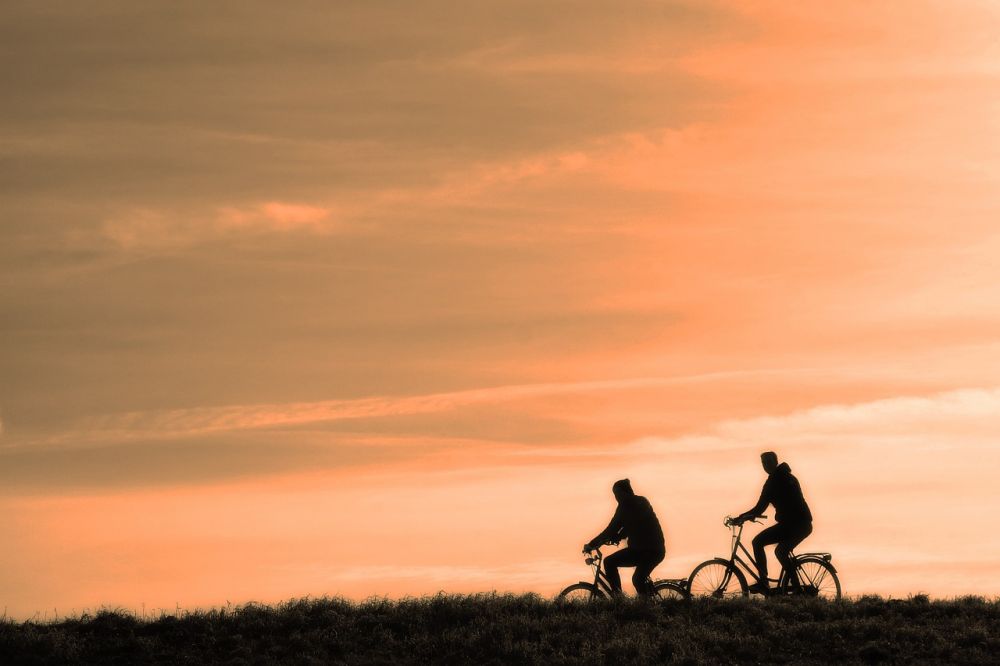 Nils van der Poel Trening: En Dypdykkende Oversikt